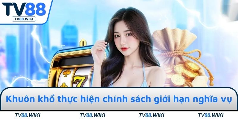 Khuôn khổ thực hiện chính sách giới hạn nghĩa vụ