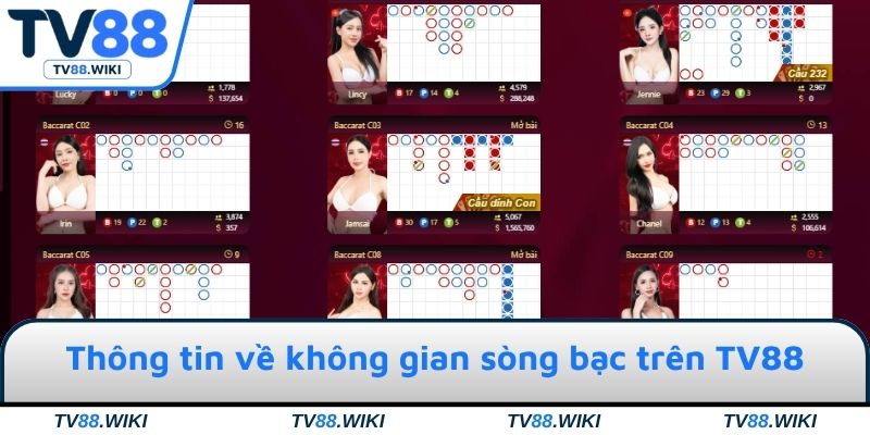 Thông tin toàn diện về không gian sòng bạc trên TV88